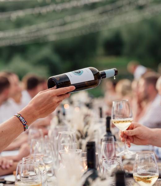 Groupe de particuliers en dégustation privée de vins animée par une œnologue en Normandie
