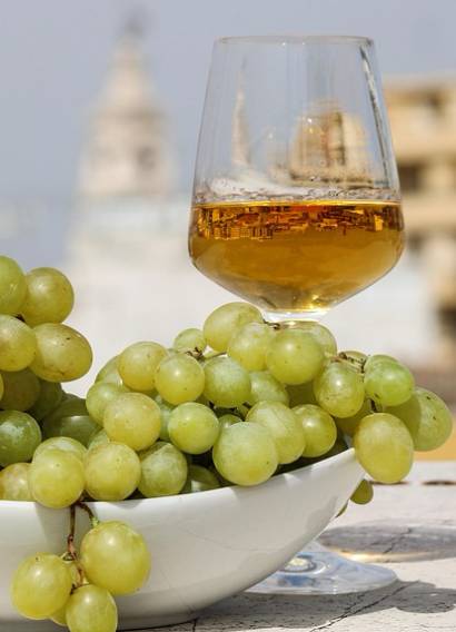 Verre de vin rouge posé à côté d’une grappe de raisin – lien entre dégustation et cépage chez Coup de Foudre